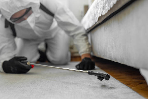 Professional Termite Control technician working in Sabetha, KS